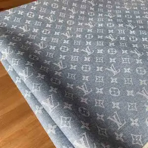 Louis Vuitton Light Blue Vinyl fabric like denim / jean